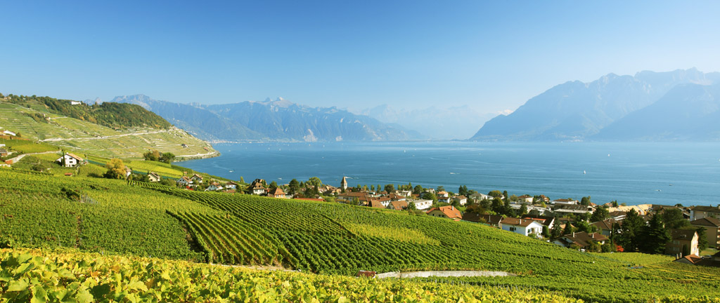 Lavaux002